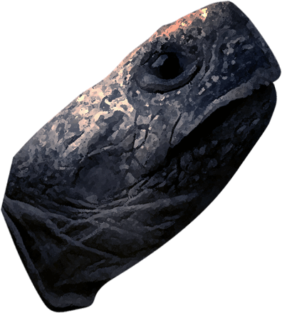 亀